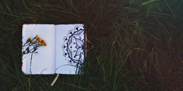 A mandala coloring book lying in dark grass
